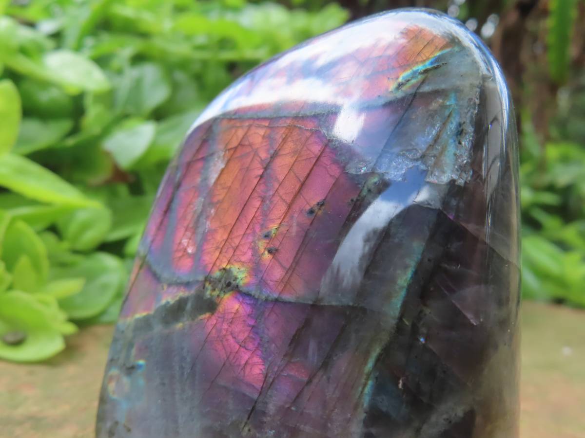 Polished Rare Purple Labradorite Standing Free Form x 1 From Tulear, Madagascar