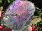 Polished Rare Purple Labradorite Standing Free Form x 1 From Tulear, Madagascar