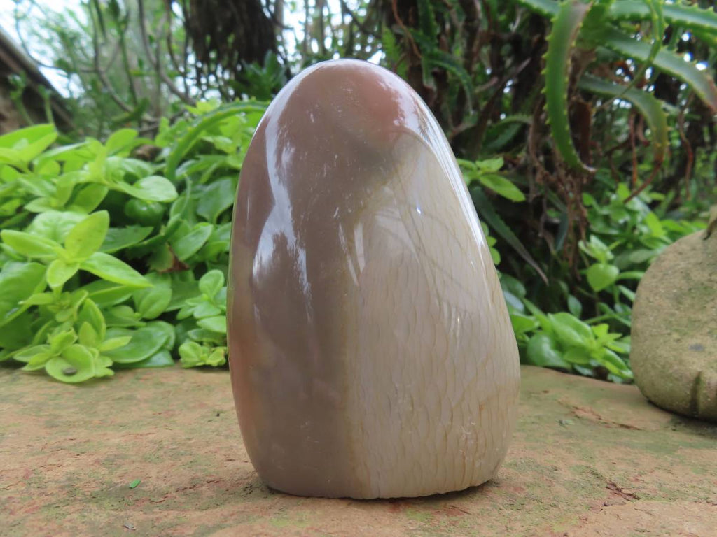 Polished Rare Dragon's Scale Polychrome Jasper Standing Free Form x 1 From Northwest Coast, Madagascar