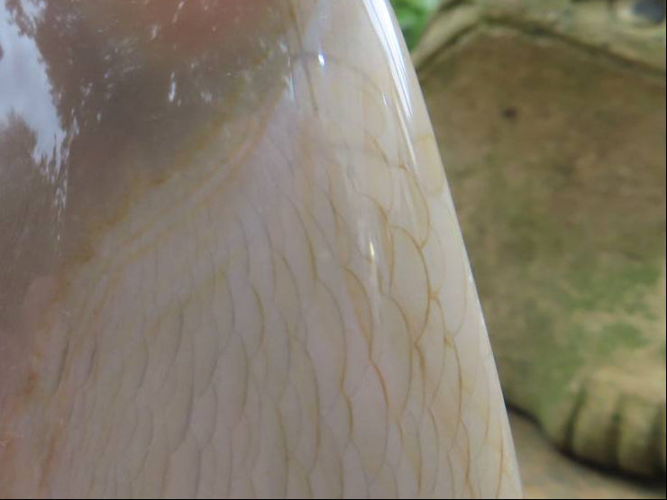 Polished Rare Dragon's Scale Polychrome Jasper Standing Free Form x 1 From Northwest Coast, Madagascar