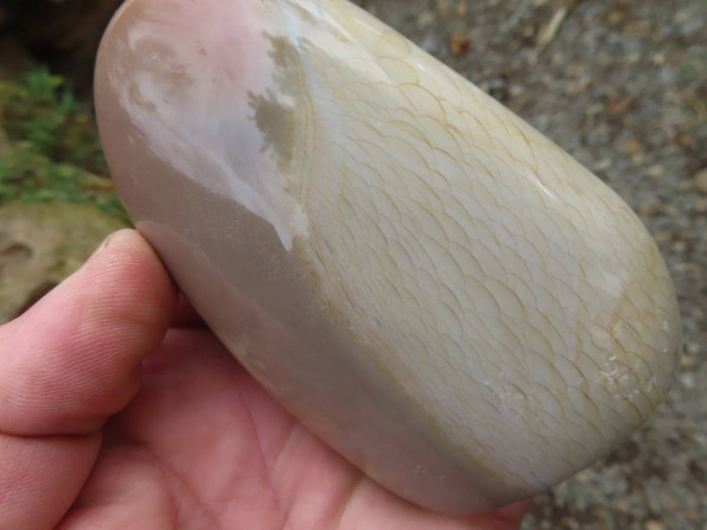 Polished Rare Dragon's Scale Polychrome Jasper Standing Free Form x 1 From Northwest Coast, Madagascar