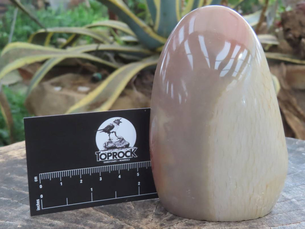 Polished Rare Dragon's Scale Polychrome Jasper Standing Free Form x 1 From Northwest Coast, Madagascar