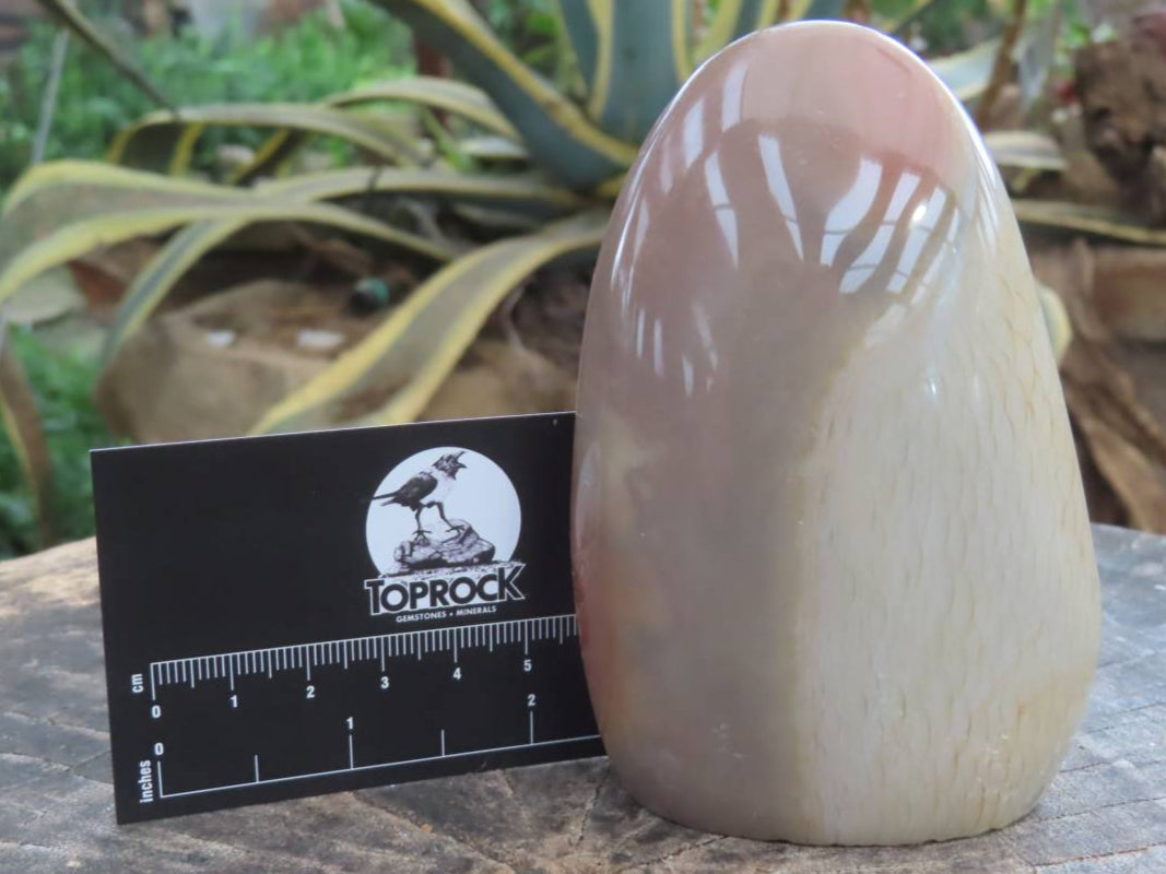 Polished Rare Dragon's Scale Polychrome Jasper Standing Free Form x 1 From Northwest Coast, Madagascar