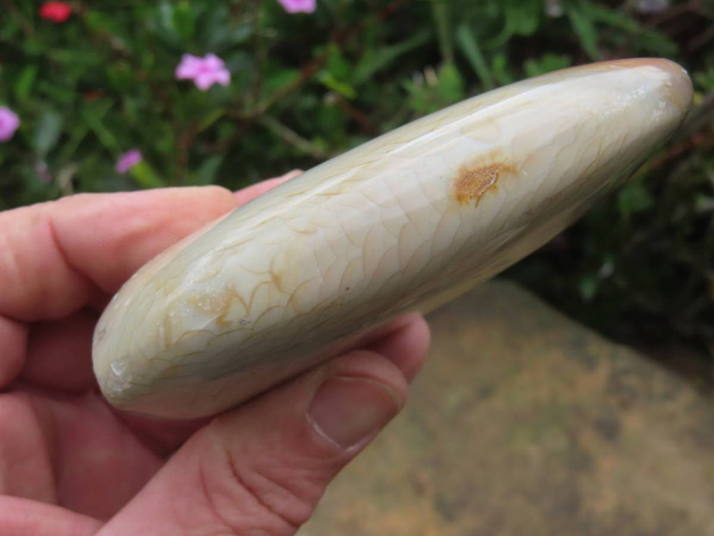 Polished Rare Dragon's Scale Polychrome Jasper Standing Free Form x 1 From Northwest Coast, Madagascar