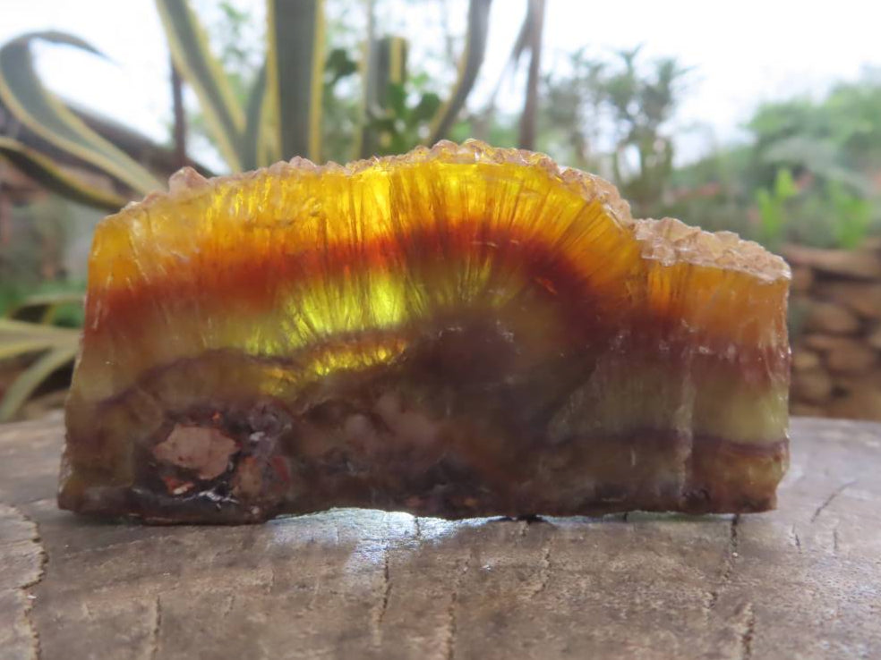 Polished Slice of Rare Watermelon Fluorite x 1 From Uis, Namibia