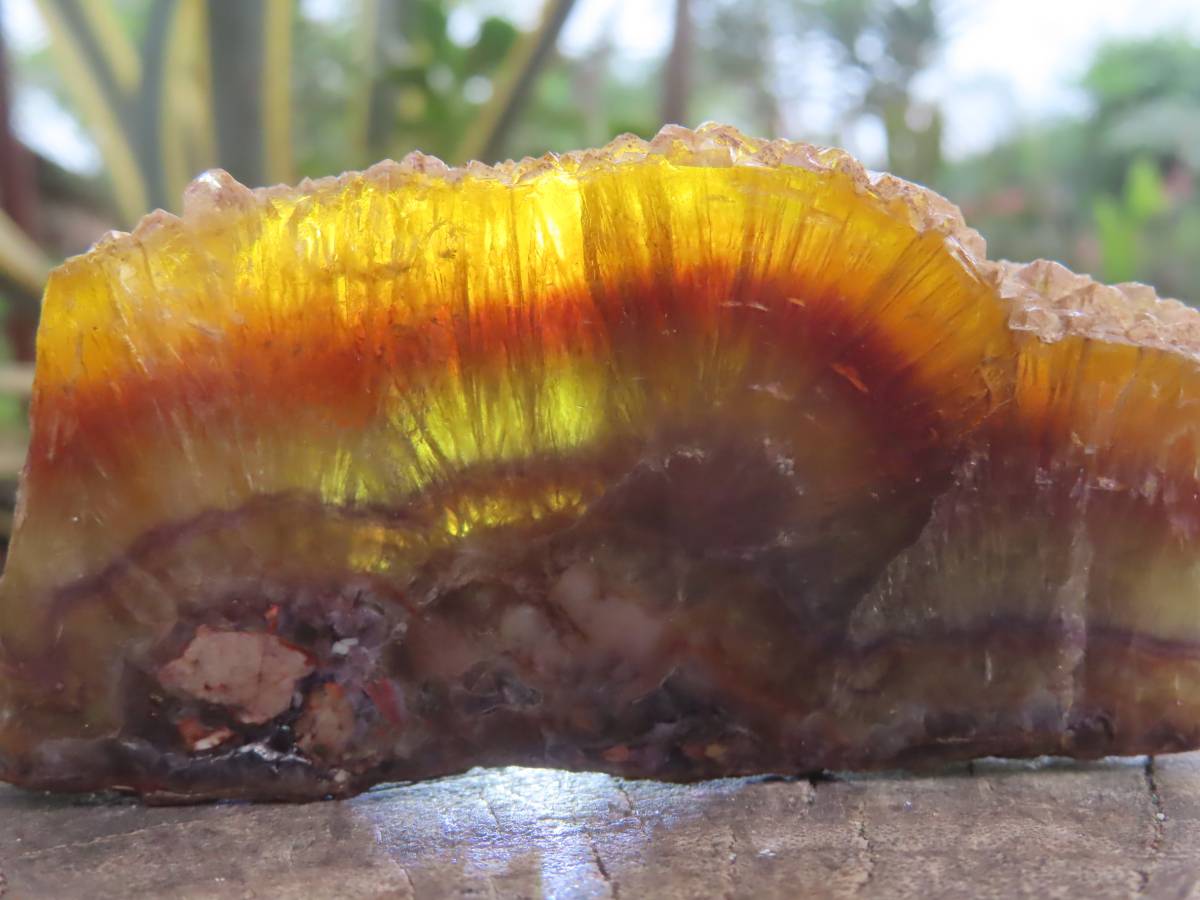 Polished Slice of Rare Watermelon Fluorite x 1 From Uis, Namibia