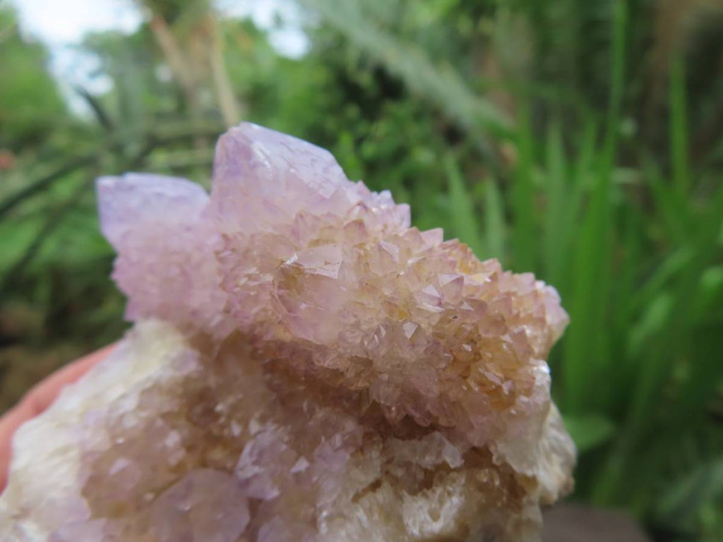 Natural Ametrine Lilac Amethyst Spirit Quartz Cluster x 1 From Boekenhouthoek, South Africa