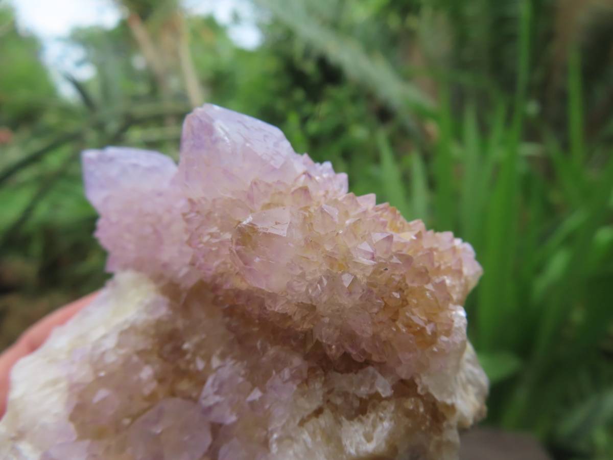 Natural Ametrine Lilac Amethyst Spirit Quartz Cluster x 1 From Boekenhouthoek, South Africa