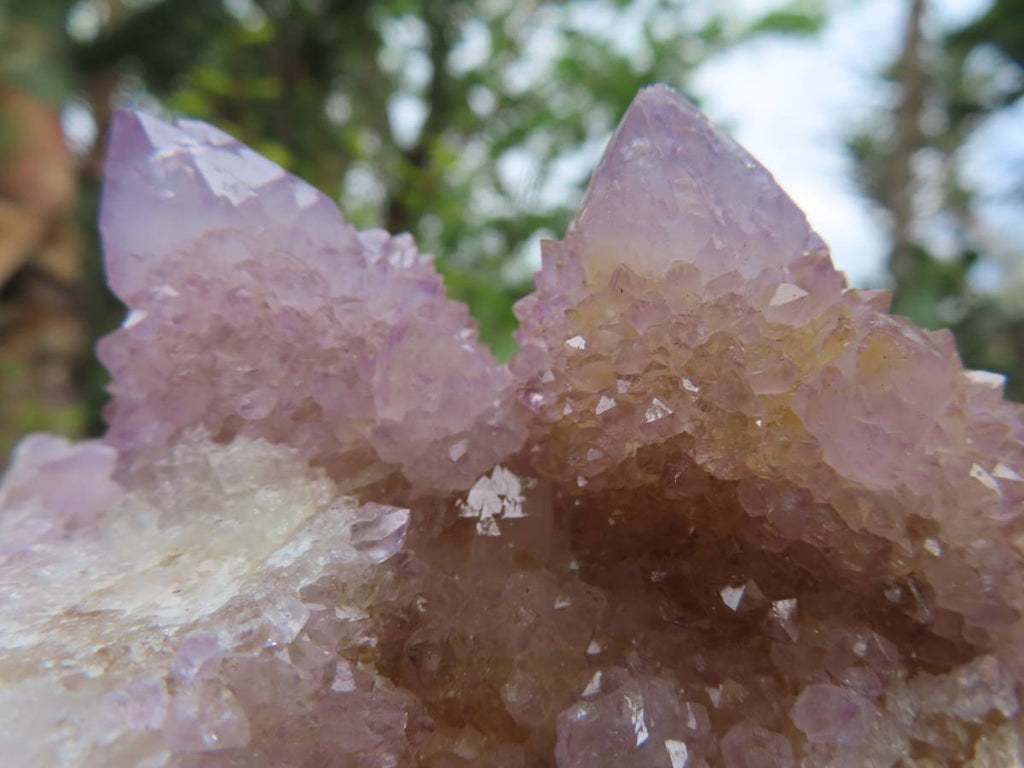 Natural Ametrine Lilac Amethyst Spirit Quartz Cluster x 1 From Boekenhouthoek, South Africa