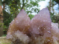 Natural Ametrine Lilac Amethyst Spirit Quartz Cluster x 1 From Boekenhouthoek, South Africa