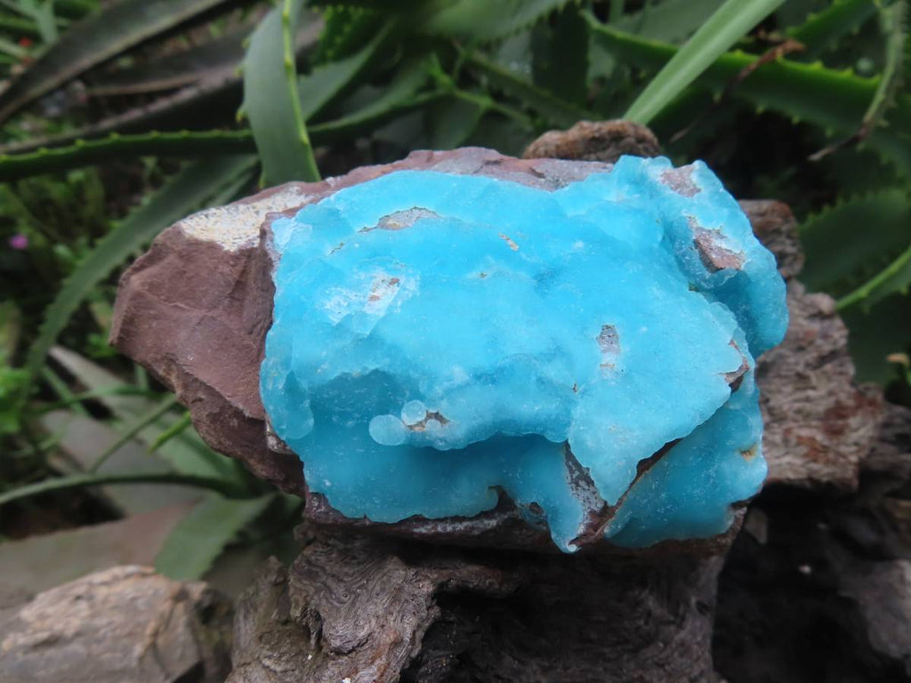 Natural Rare Hemimorphite On Dolomite x 1 From Lupoto Mine, Congo