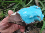 Natural Rare Hemimorphite On Dolomite x 1 From Lupoto Mine, Congo