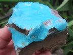Natural Rare Hemimorphite On Dolomite x 1 From Lupoto Mine, Congo