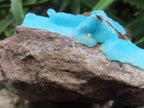 Natural Rare Hemimorphite On Dolomite x 1 From Lupoto Mine, Congo
