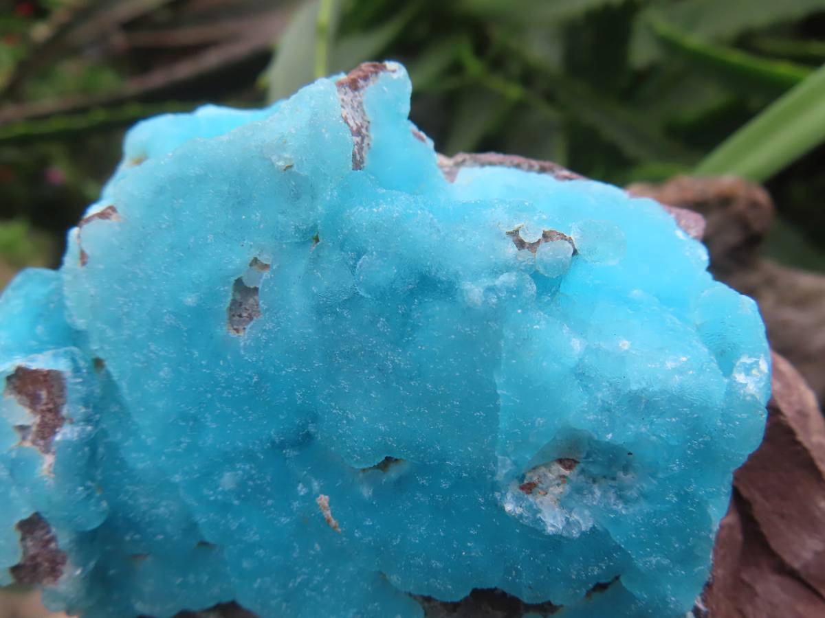 Natural Rare Hemimorphite On Dolomite x 1 From Lupoto Mine, Congo