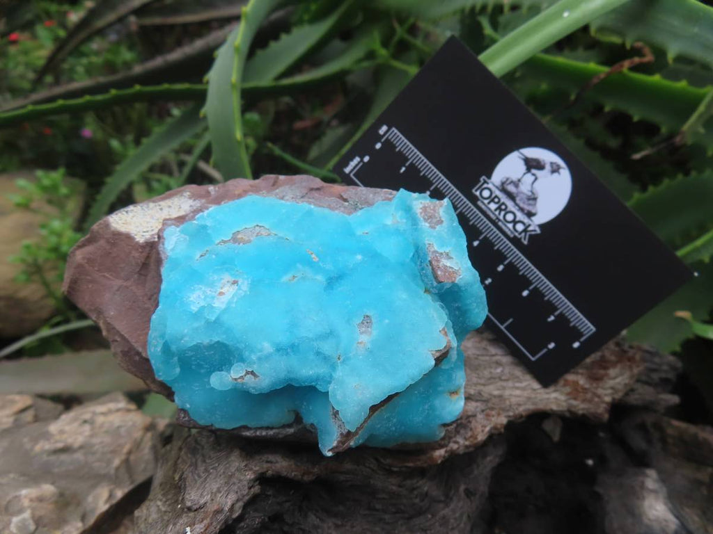 Natural Rare Hemimorphite On Dolomite x 1 From Lupoto Mine, Congo