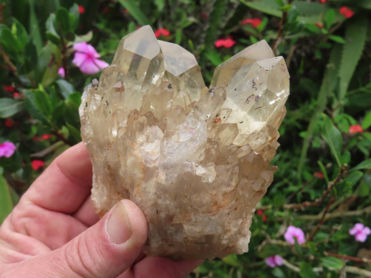 Natural Cascading Fan of Citrine Quartz Cluster x 1 From Luena, Congo