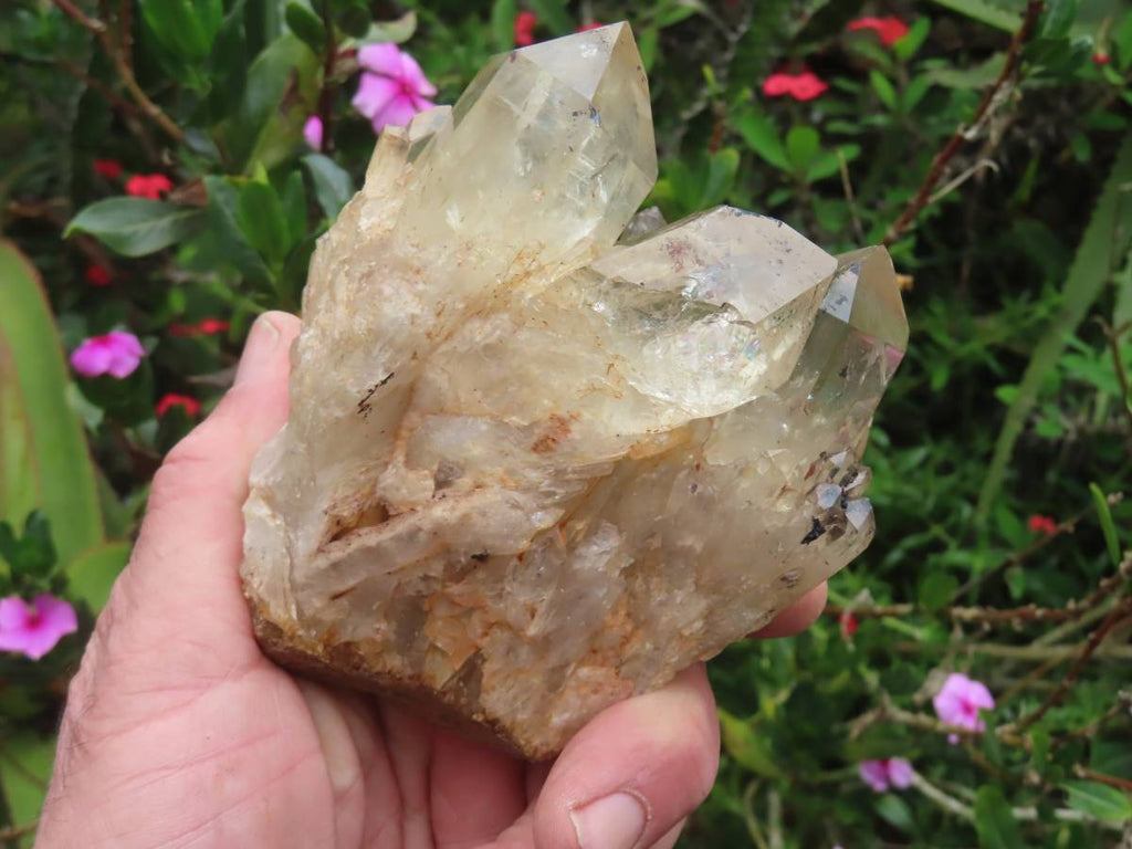 Natural Cascading Fan of Citrine Quartz Cluster x 1 From Luena, Congo