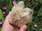 Natural Cascading Fan of Citrine Quartz Cluster x 1 From Luena, Congo