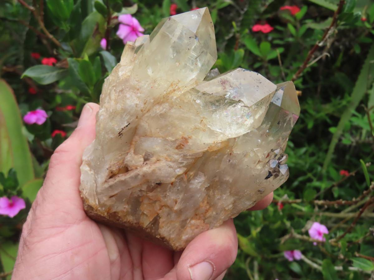Natural Cascading Fan of Citrine Quartz Cluster x 1 From Luena, Congo
