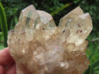 Natural Cascading Fan of Citrine Quartz Cluster x 1 From Luena, Congo