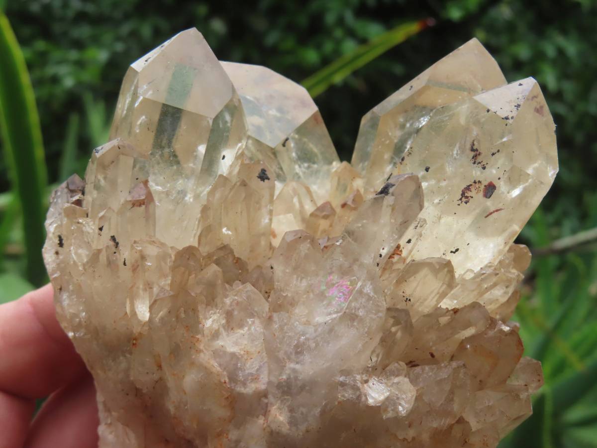 Natural Cascading Fan of Citrine Quartz Cluster x 1 From Luena, Congo