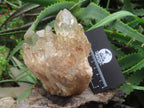 Natural Cascading Fan of Citrine Quartz Cluster x 1 From Luena, Congo
