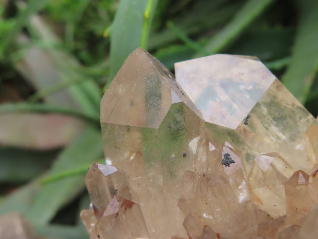 Natural Cascading Fan of Citrine Quartz Cluster x 1 From Luena, Congo