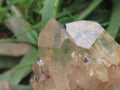 Natural Cascading Fan of Citrine Quartz Cluster x 1 From Luena, Congo