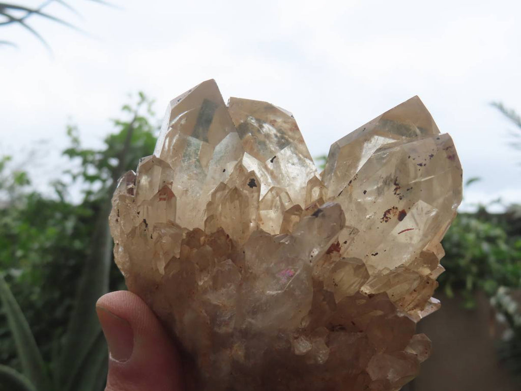 Natural Cascading Fan of Citrine Quartz Cluster x 1 From Luena, Congo