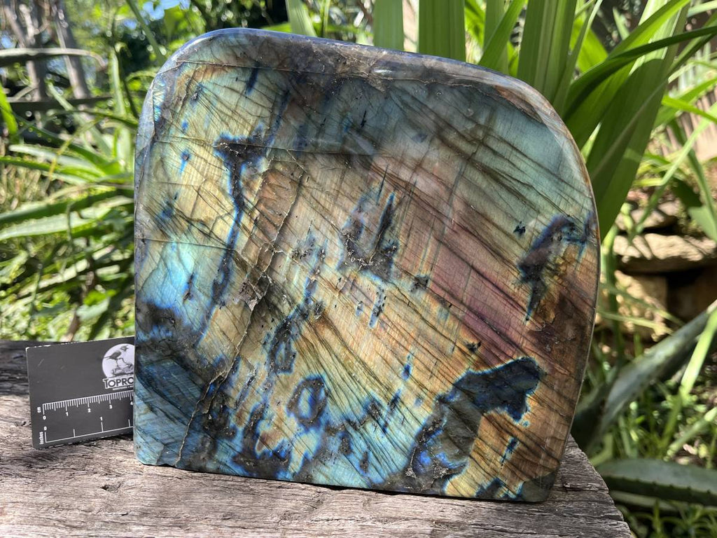 Polished Labradorite Standing Free Form x 1 From Tulear, Madagascar