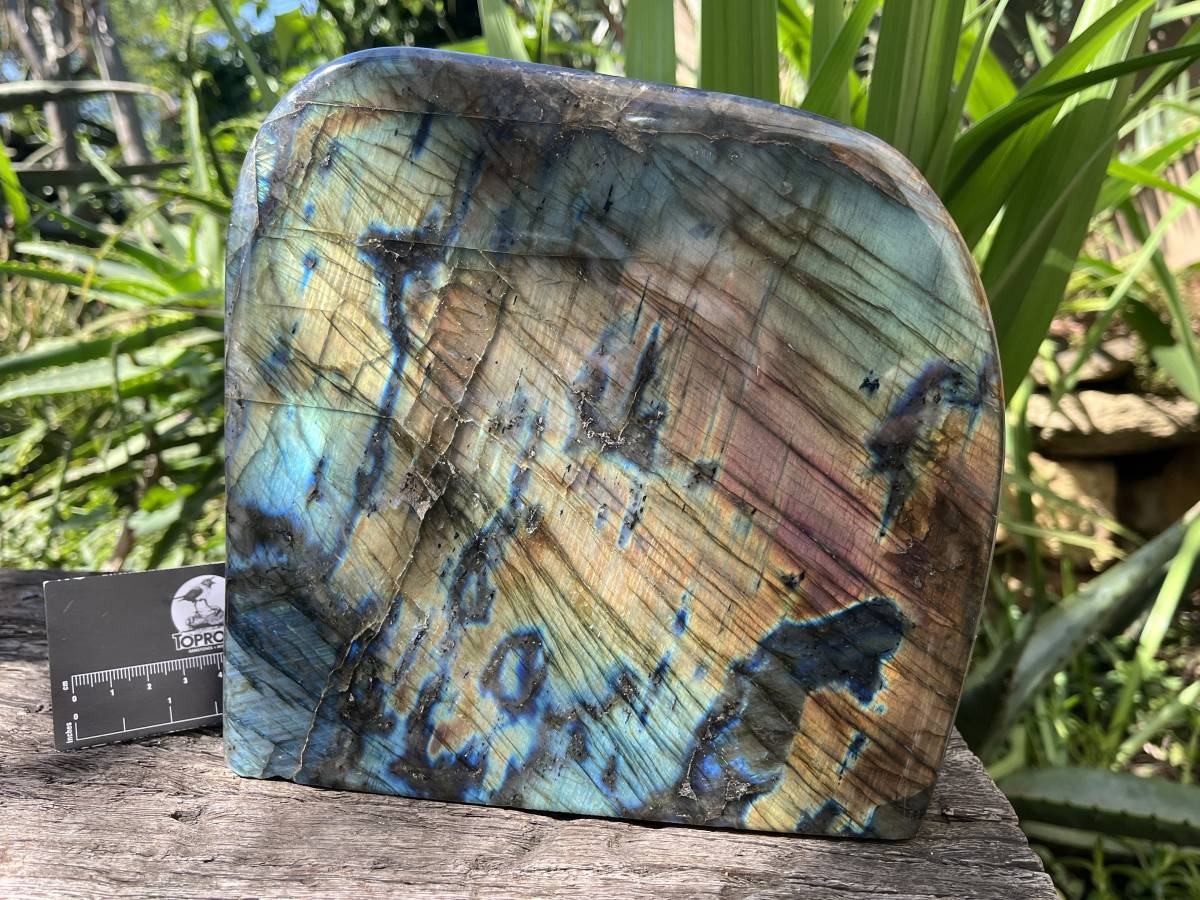 Polished Labradorite Standing Free Form x 1 From Tulear, Madagascar