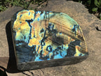 Polished Labradorite Standing Free Form x 1 From Tulear, Madagascar