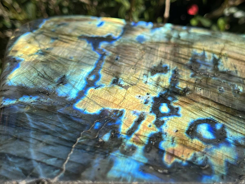 Polished Labradorite Standing Free Form x 1 From Tulear, Madagascar