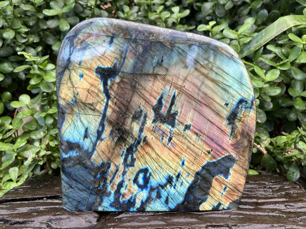 Polished Labradorite Standing Free Form x 1 From Tulear, Madagascar