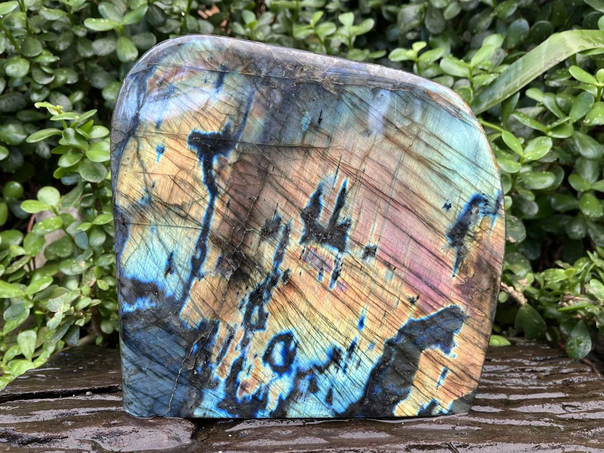 Polished Labradorite Standing Free Form x 1 From Tulear, Madagascar