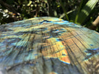 Polished Labradorite Standing Free Form x 1 From Tulear, Madagascar