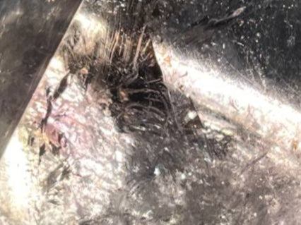 Polished Smokey Amethyst, Window Quartz Crystal With Enhydro x 1 From Akansobe, Madagascar