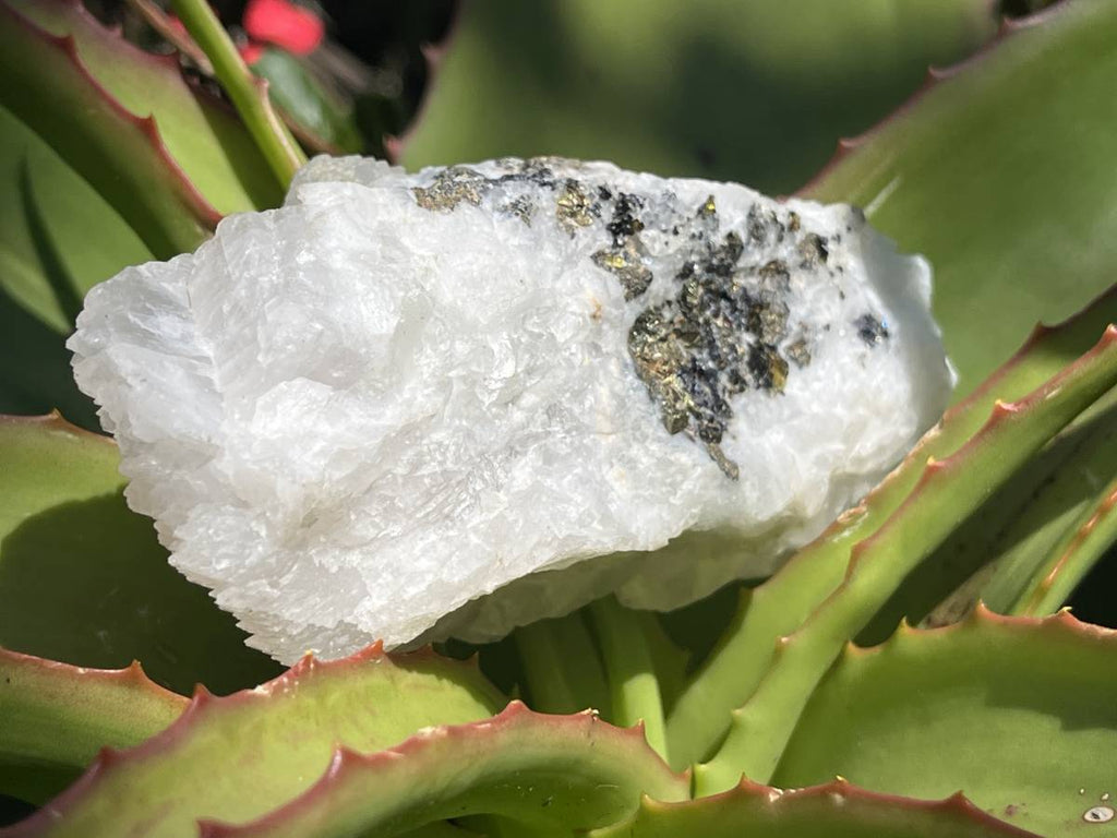 Natural Fluorescent Manganoic Calcite Specimen x 1 From Wessels Mine KMF, South Africa