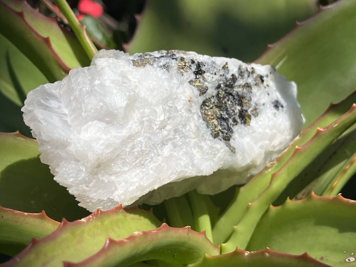 Natural Fluorescent Manganoic Calcite Specimen x 1 From Wessels Mine KMF, South Africa