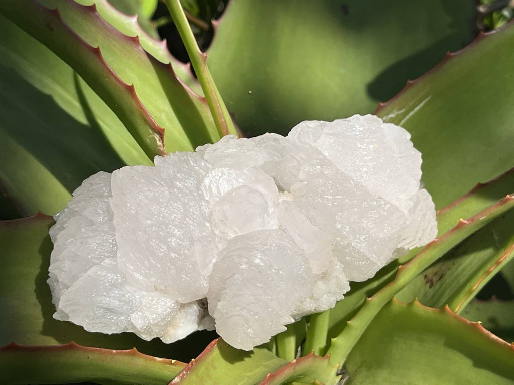 Natural Fluorescent Manganoic Calcite Specimen x 1 From Wessels Mine KMF, South Africa