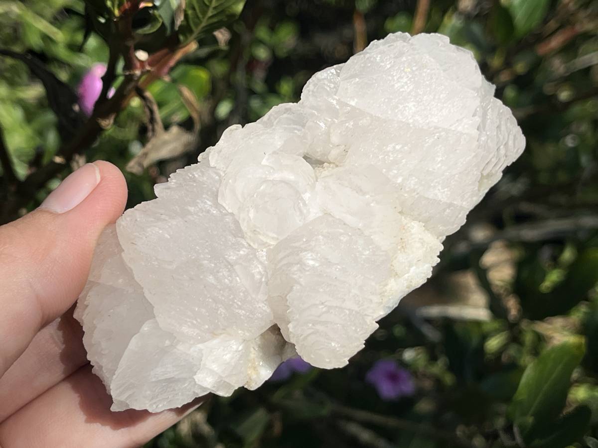 Natural Fluorescent Manganoic Calcite Specimen x 1 From Wessels Mine KMF, South Africa