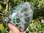 Polished Mutokolite Standing Free Form x 1 From Mutoko, Zimbabwe