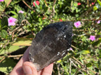 Natural Smokey Morion Self-Healed Quartz Crystal x 1 From Zomba, Malawi