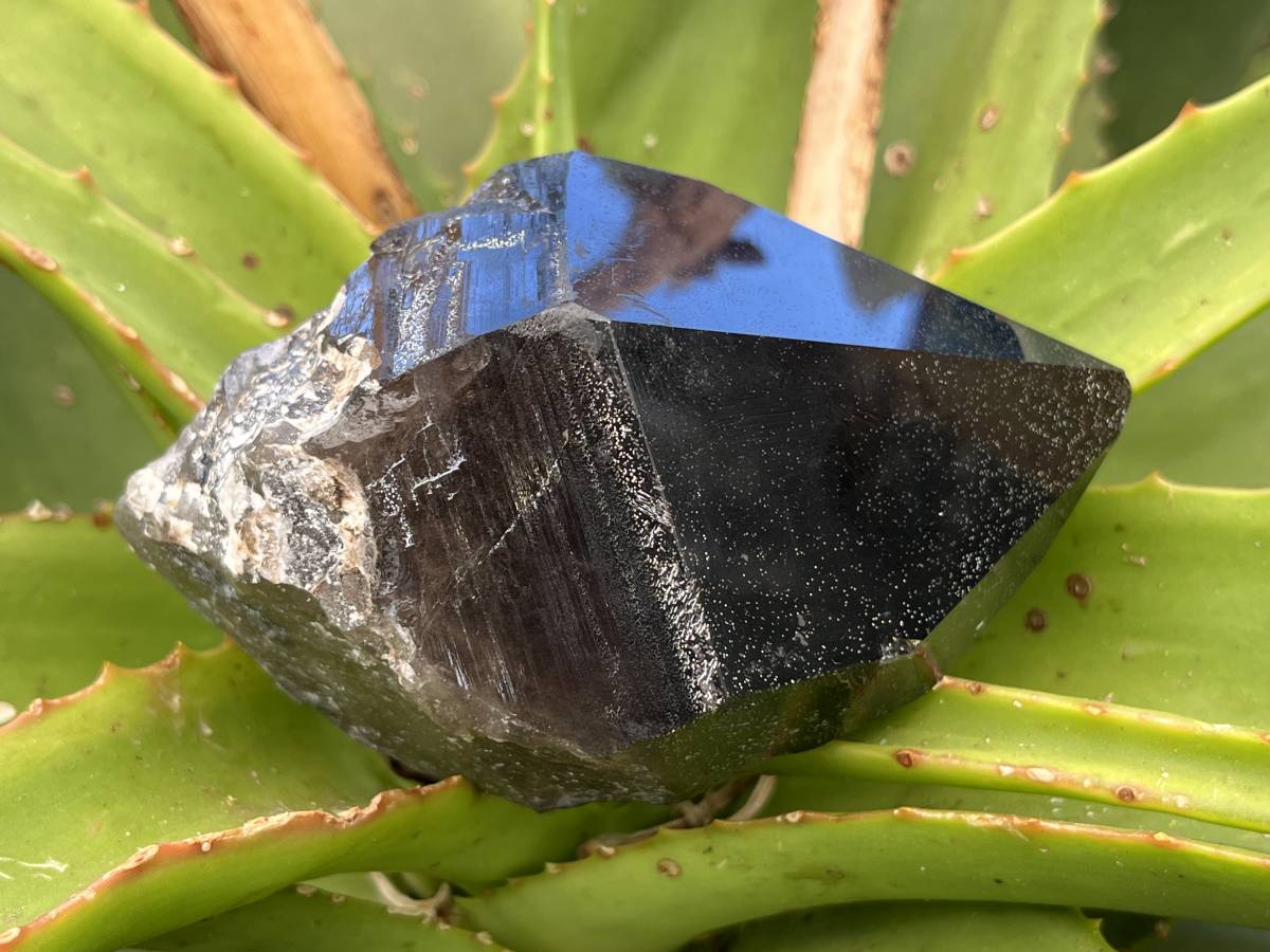 Natural Smokey Morion Self-Healed Quartz Crystal x 1 From Zomba, Malawi