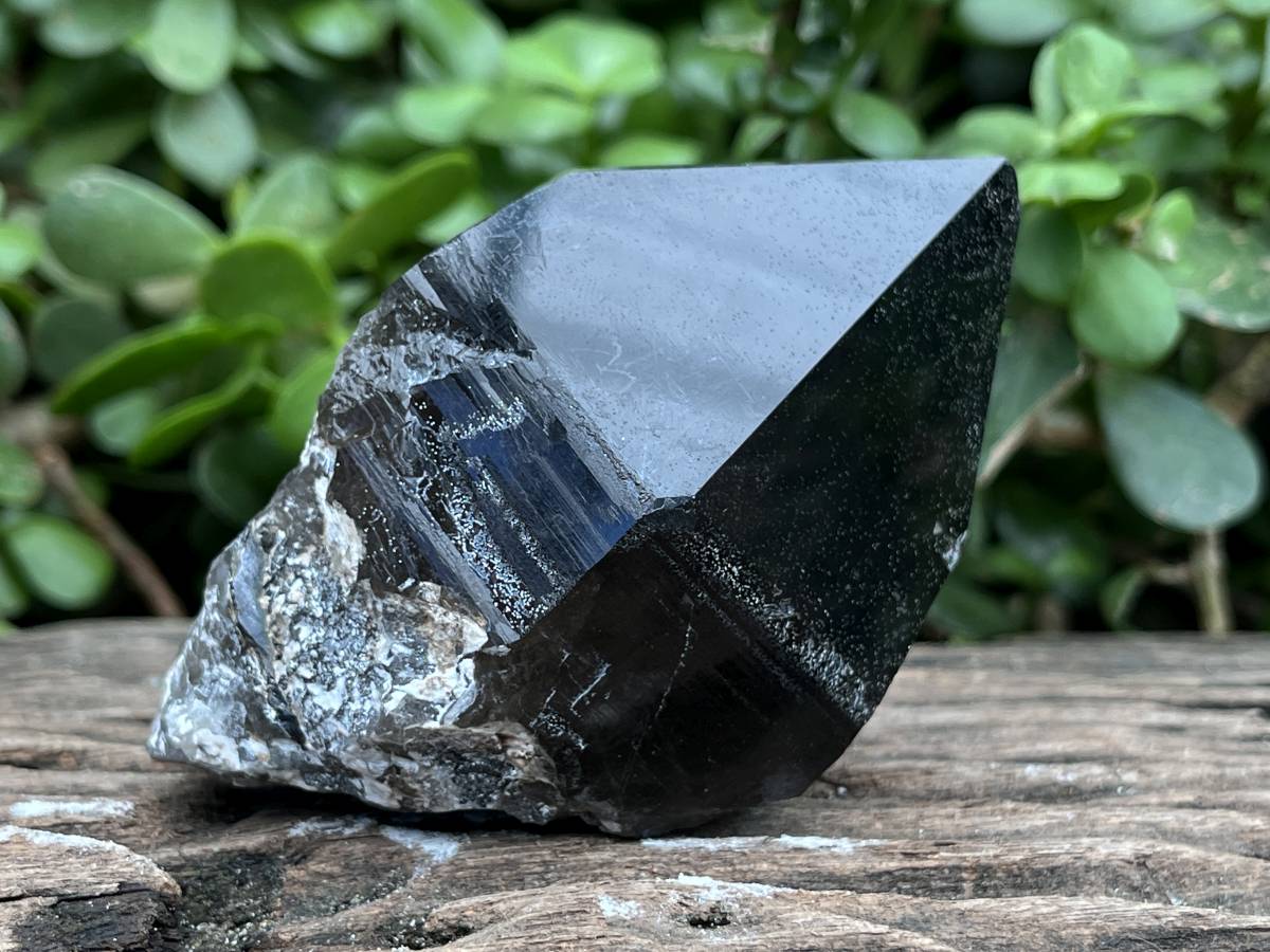 Natural Smokey Morion Self-Healed Quartz Crystal x 1 From Zomba, Malawi