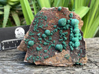 Natural Ball Malachite On Druzy Crystalline Dolomite Matrix Specimen x 1 From Kambove, Congo