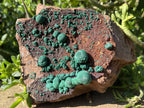 Natural Ball Malachite On Druzy Crystalline Dolomite Matrix Specimen x 1 From Kambove, Congo
