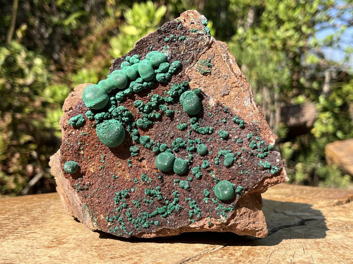 Natural Ball Malachite On Druzy Crystalline Dolomite Matrix Specimen x 1 From Kambove, Congo