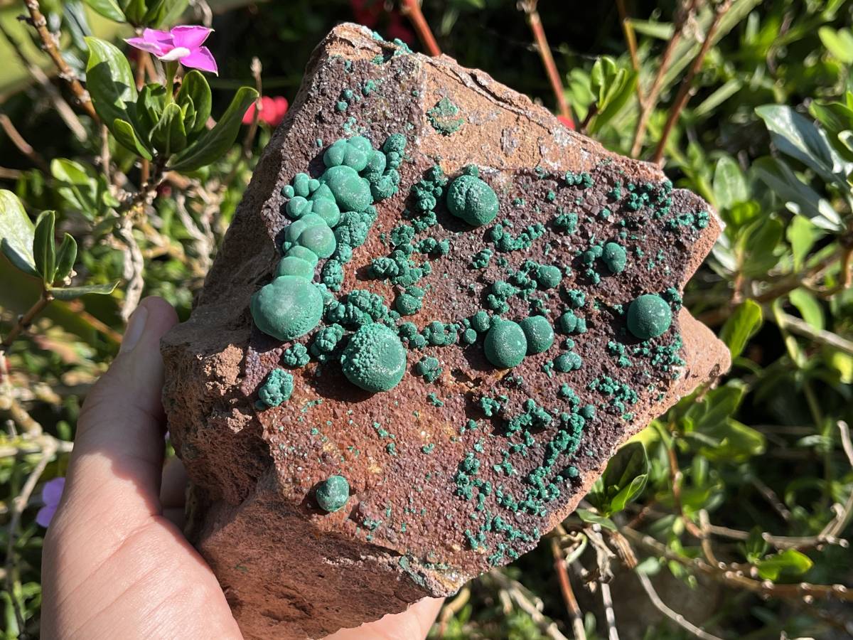Natural Ball Malachite On Druzy Crystalline Dolomite Matrix Specimen x 1 From Kambove, Congo